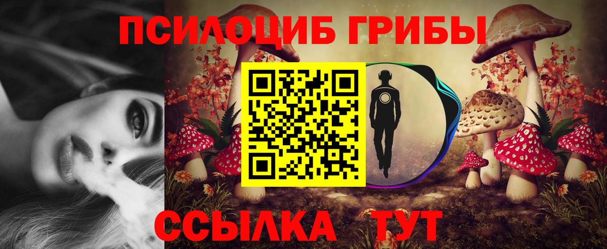 магазин    Псилоцибиновые грибы мухоморы  Вход с VPN  Галлюциногенные грибы Cubensis  Строитель 